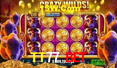 TT77 Bet Salvador - Football