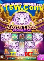 Casino Ao Vivo TT77 Bet